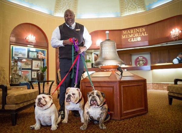 Marines' Memorial Club & Hotel Union Square image 7